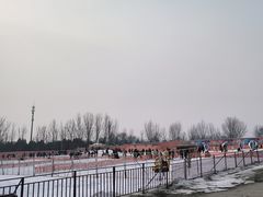 -青龙湖公园