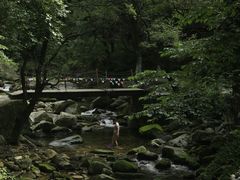 -少华山国家森林公园