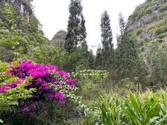 -万峰林风景区