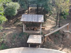 -石家庄市动物园