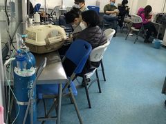 -北京赛佳动物医院