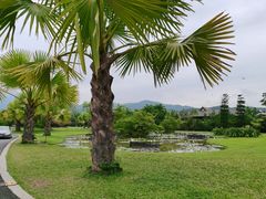 -中国科学院西双版纳热带植物园