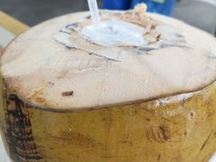 椰子-琼大师东方烤乳猪(亚特兰蒂斯店)