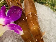 -银子铁板烧料理自助餐(人民广场店)