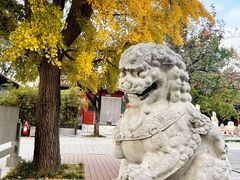 -北京石刻艺术博物馆(五塔寺)