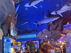 -烟台海昌鲸鲨海洋公园