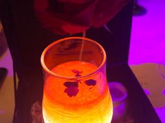 -甜喵酒吧(茂业店)