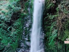 -莫里热带雨林景区