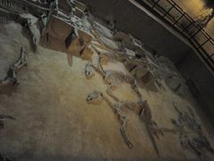 -洛阳周王城天子驾六博物馆