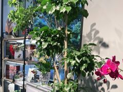 -弗劳尔花艺坊(龙涛店)