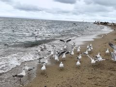 -青海湖二郎剑景区