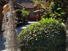 -西双版纳傣族园-曼春满佛寺