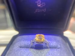 -钻石小鸟钻戒婚戒定制(石路店)