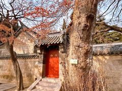 -青岛崂山太清宫