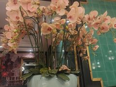 -新白鹿餐厅(爱琴海购物中心店)