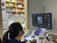 -艾贝尔宠物医院·宠保定点·超声绝育·免疫点(樱花路店)