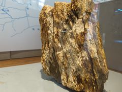 -淮安市博物馆