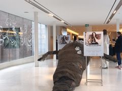 -太平洋中心(CF Pacific Centre)