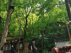 -天目湖山水园