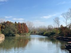 -溱湖国家湿地公园