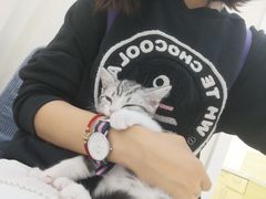 -美联众合动物医院·24h京西诊疗中心