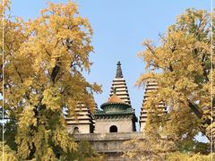 -北京石刻艺术博物馆