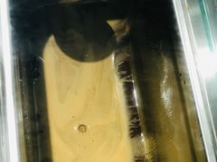 -甜心闲生传统手工冰粉(奎星楼店)