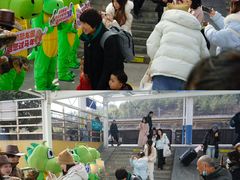-中国西峡恐龙遗迹园
