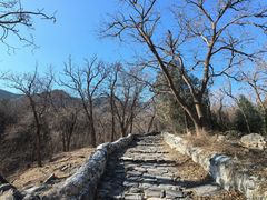 -阳台山自然风景区