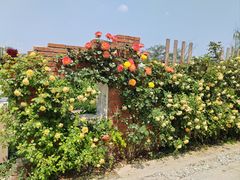 -祥源·阜阳生态乐园