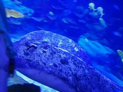 -临沂极地海洋王国