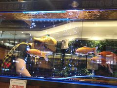-一品渝香·好吖好鸭时尚干锅鸭头(乐汇城店)