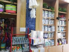 -瑞派名望志远动物医院·猫科·內科·异宠专科(直港大道店)