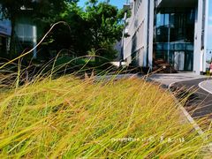 -星巴克(深圳前海企业公馆店)