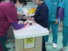 -北京观赏动物医院·24小时大型综合·猫专科·异宠专科