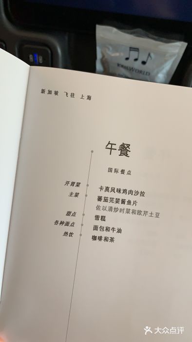 新加坡航空公司(ION)图片