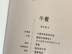 -新加坡航空公司(ION)