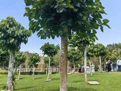 -三亚南山文化旅游区