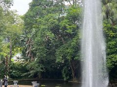 -九龙公园
