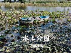 -天津水上公园