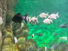 -常州海昌海洋探索馆
