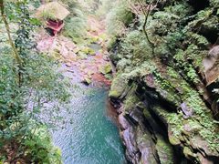 -碧峰峡风景区