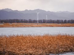 -野鸭湖国家湿地公园