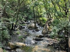 -云岫谷游猎自然风景区