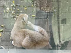 -青藏高原野生动物园