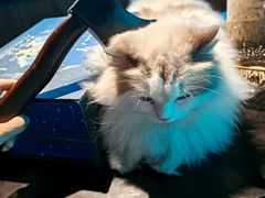 -暗楼·剧本杀·桌游