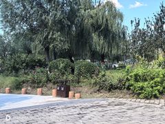 -绿堤公园