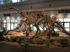 -自贡恐龙博物馆