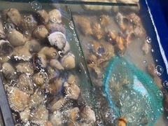 -海天盛宴新派海鲜自助餐厅(群力店)