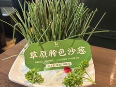 -快乐小羊(富强中路店)